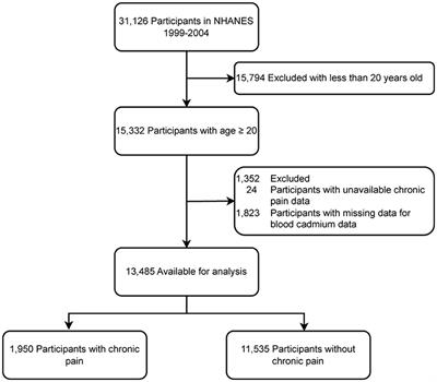 Blood cadmium level as a risk factor for chronic pain: NHANES database 1999–2004